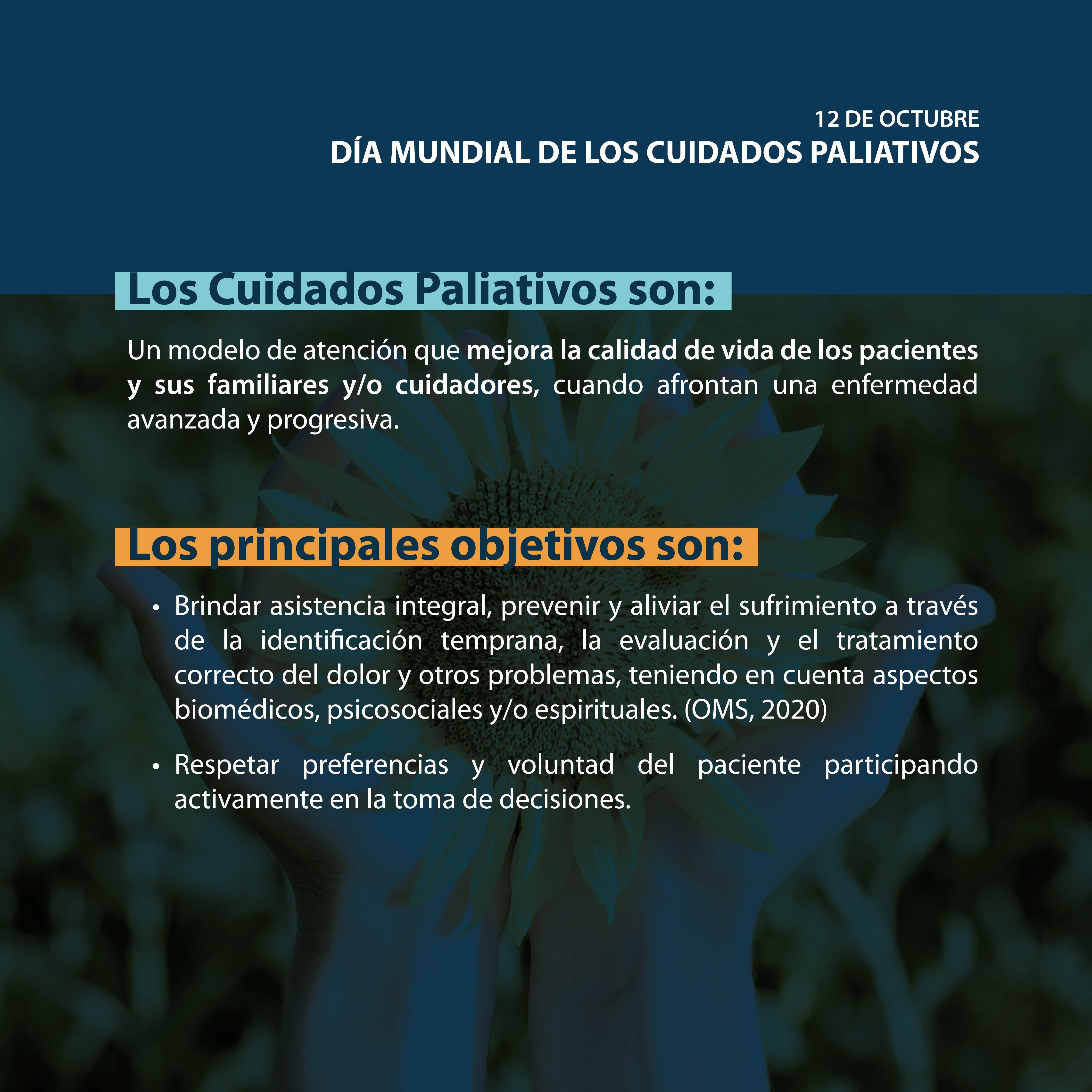 2 Dia Mundial de los Cuidados Paliativos Feed IG