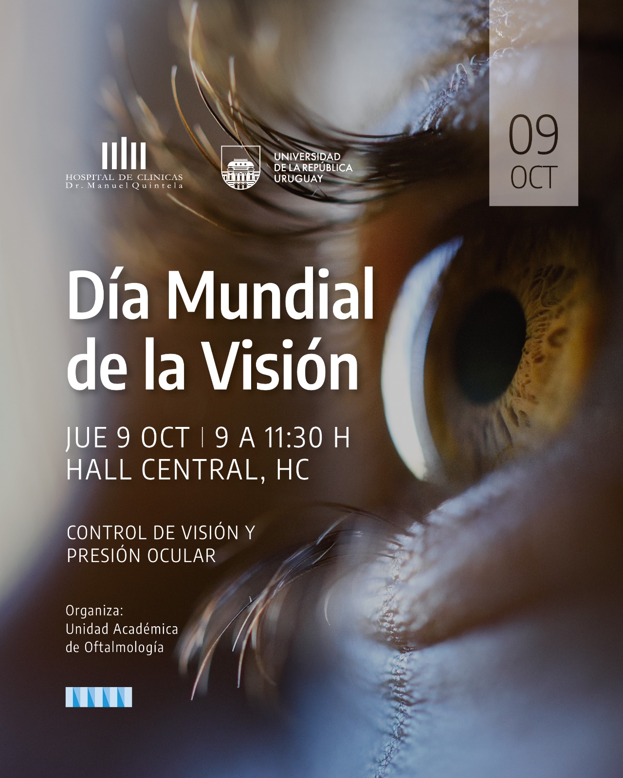 WhatsApp Image 2025 10 07 at 11.48.06