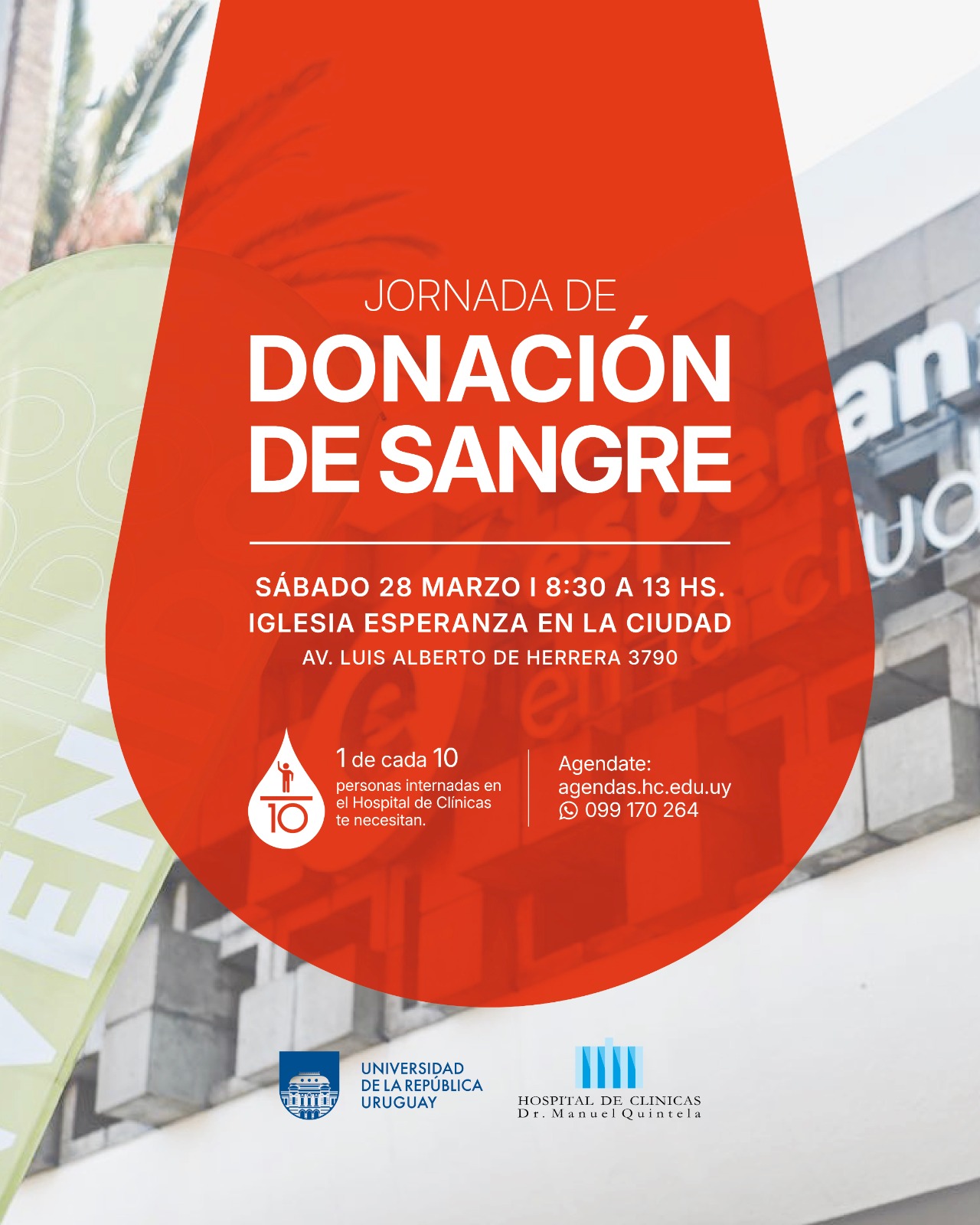 WhatsApp Image 2026 03 26 at 17.29.00 1